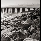 Morning Light at Crissy Field S/W