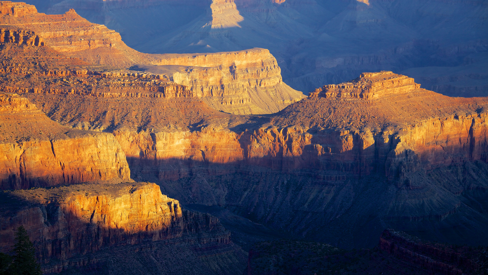 Morning light at Grand Canyons South Rim