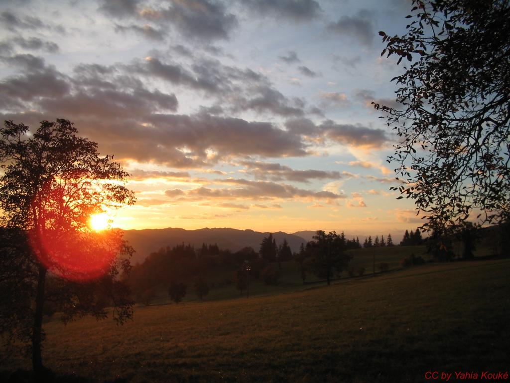 Morning light at Scurano