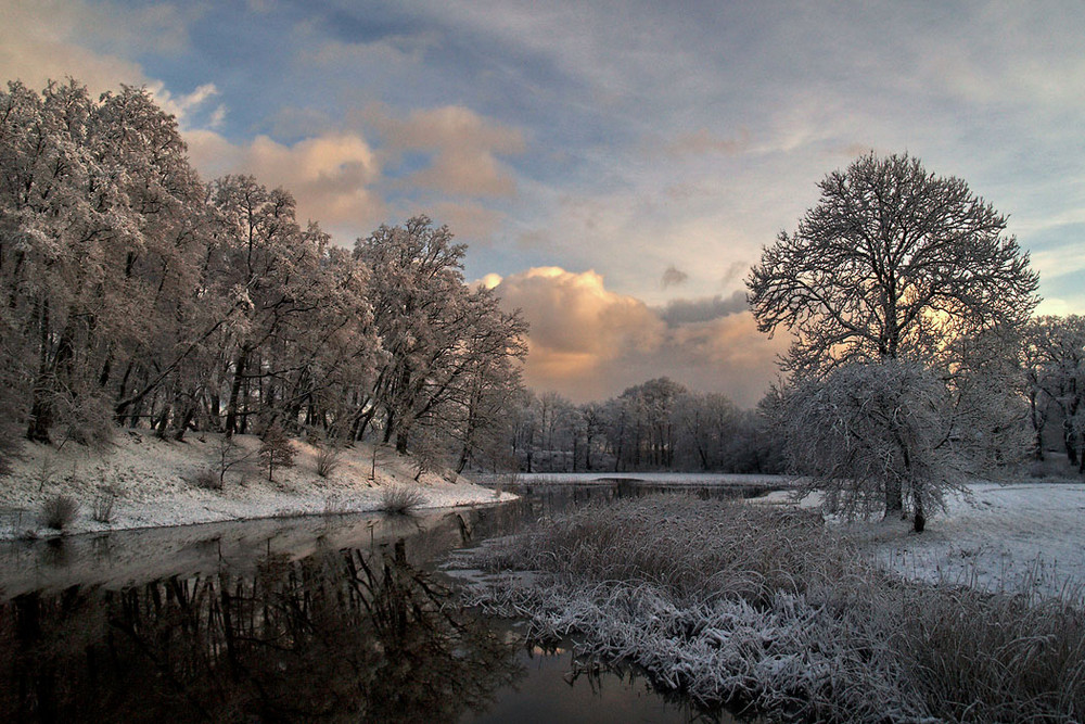 morning light