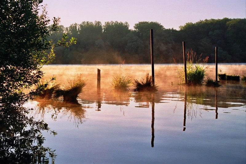 Morning light