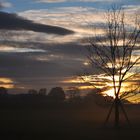 morning light in november