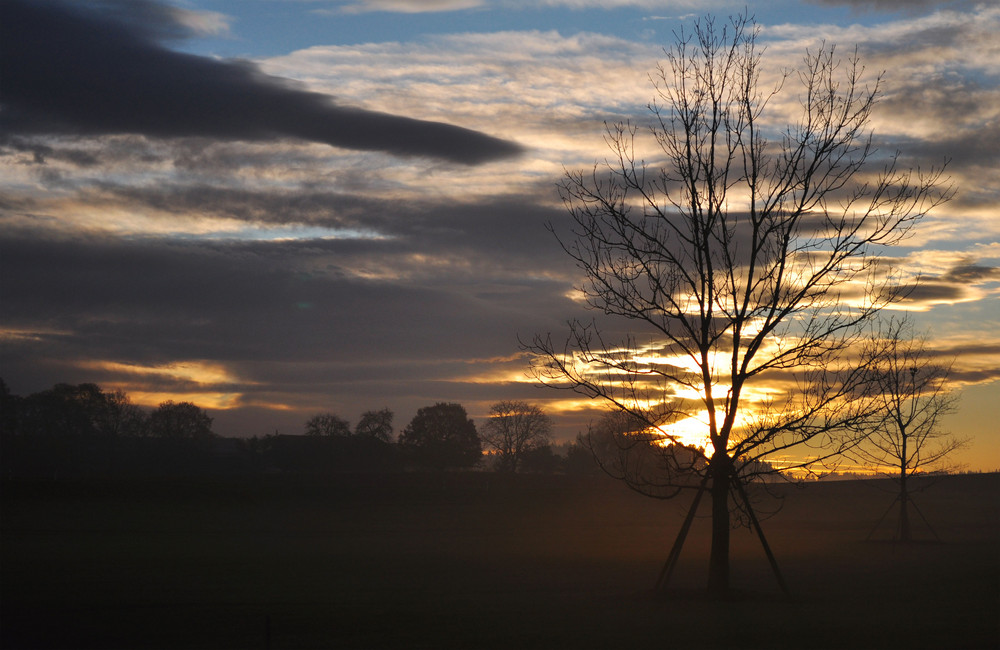 morning light in november