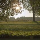 Morning light in september