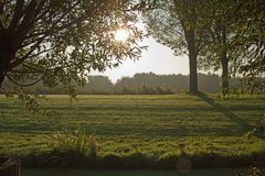 Morning light in september