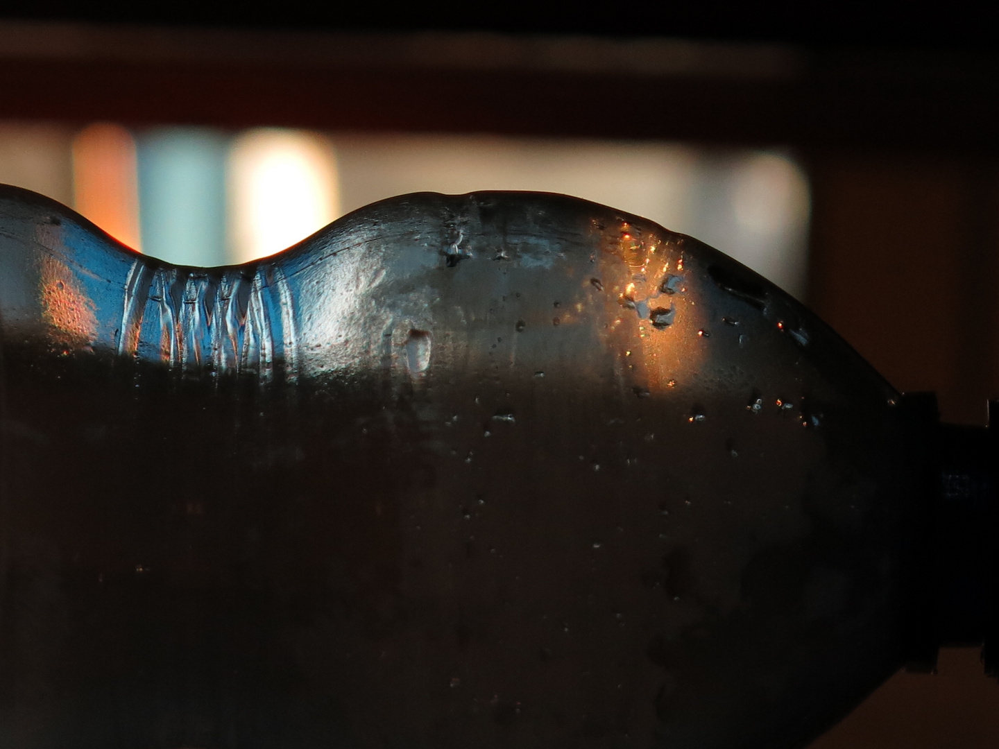 Morning Light on Plastic Bottle