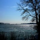 Morning light upon Danube