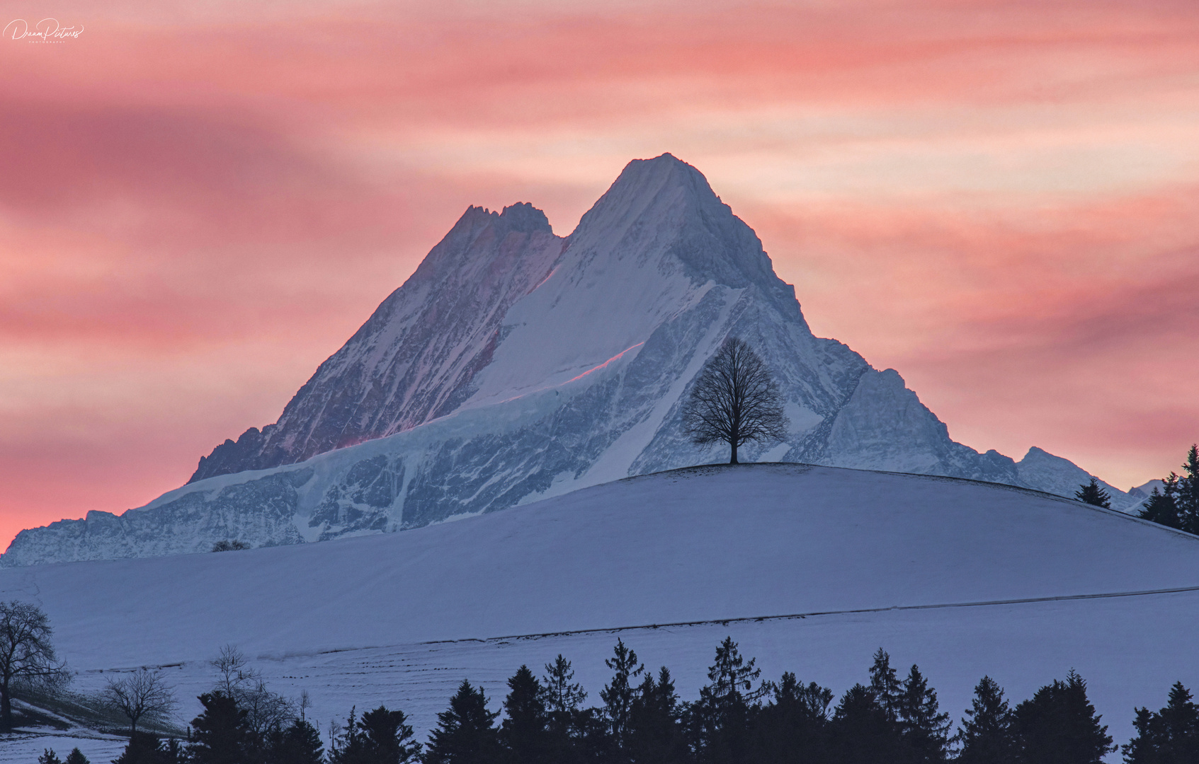 Morning Lights Emmental