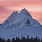 Morning Lights Emmental