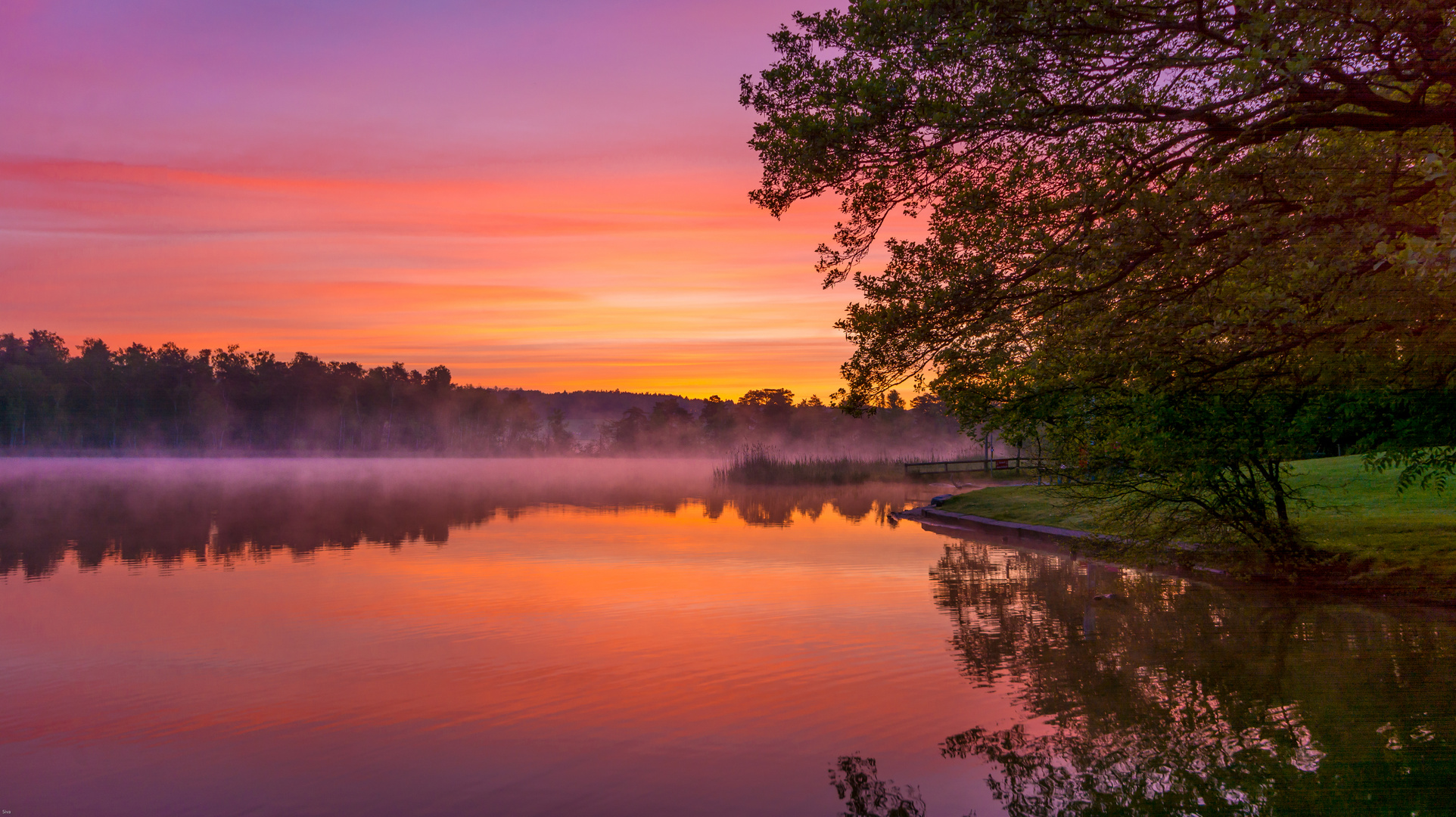 Morning mist