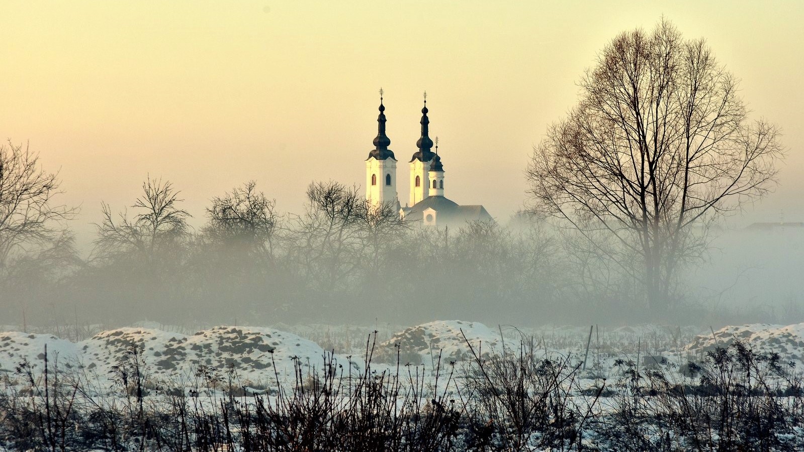 Morning mist