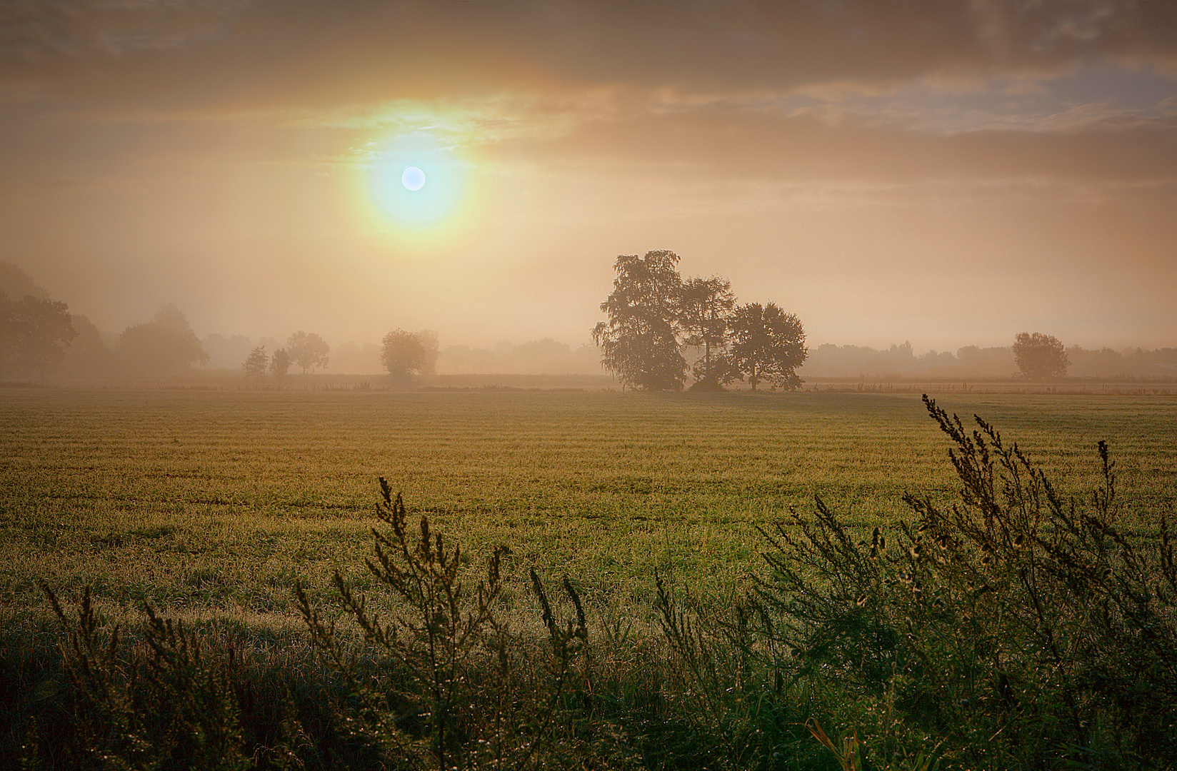 Morning Mist