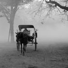 morning mist in Bagan