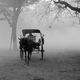 morning mist in Bagan