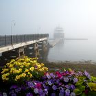 Morning Mist in Bar Harbor