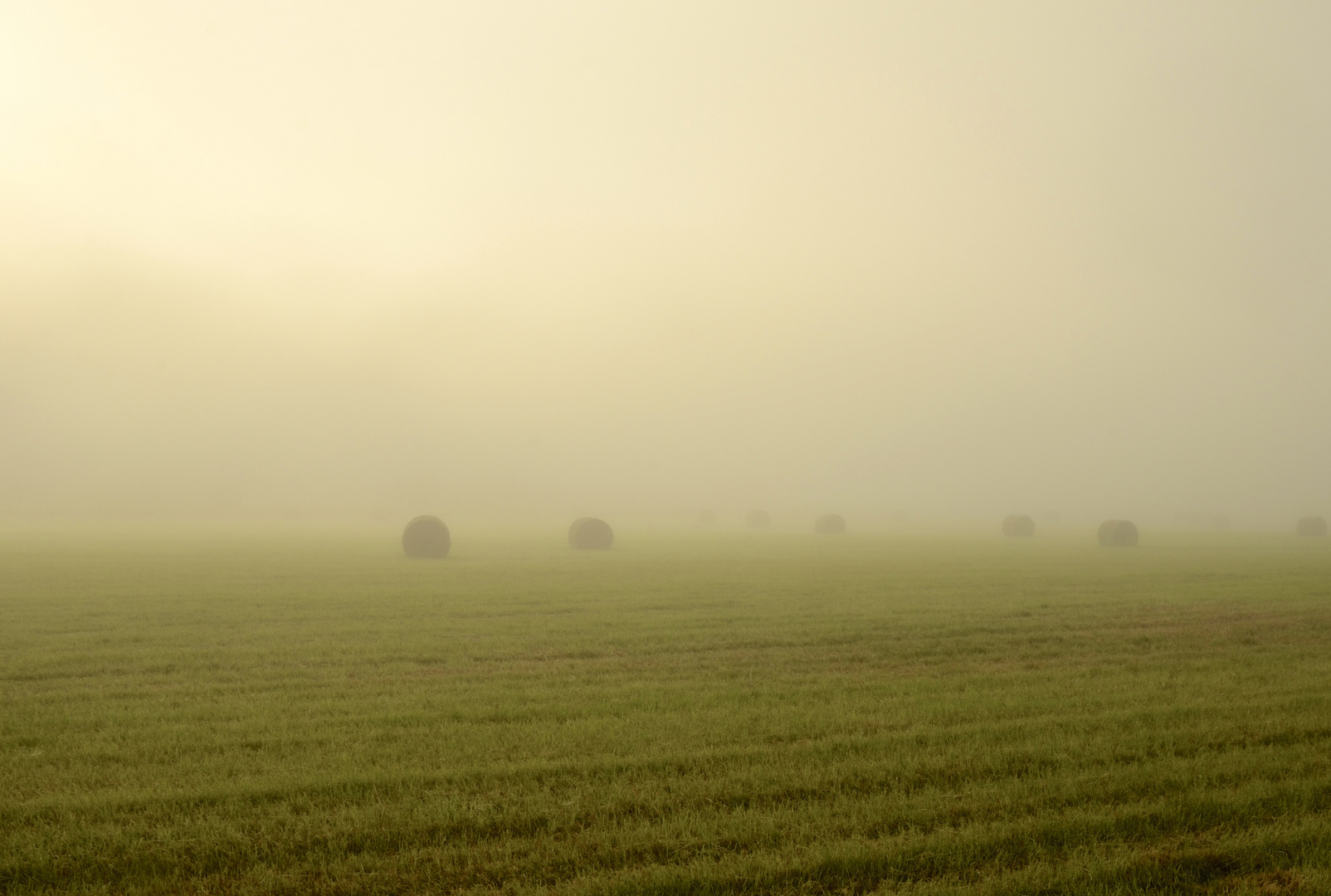 Morning mist in British Columbia