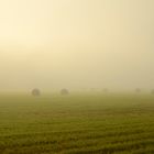 Morning mist in British Columbia