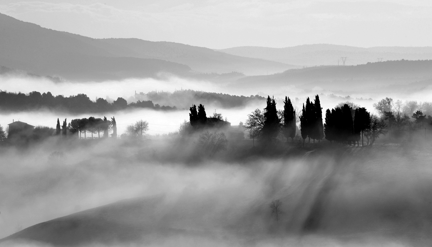 morning mist in Toscany