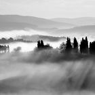 morning mist in Toscany