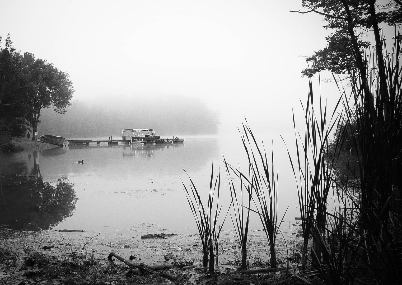 Morning Mist on Hinckley Lake