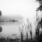 Morning Mist on Hinckley Lake