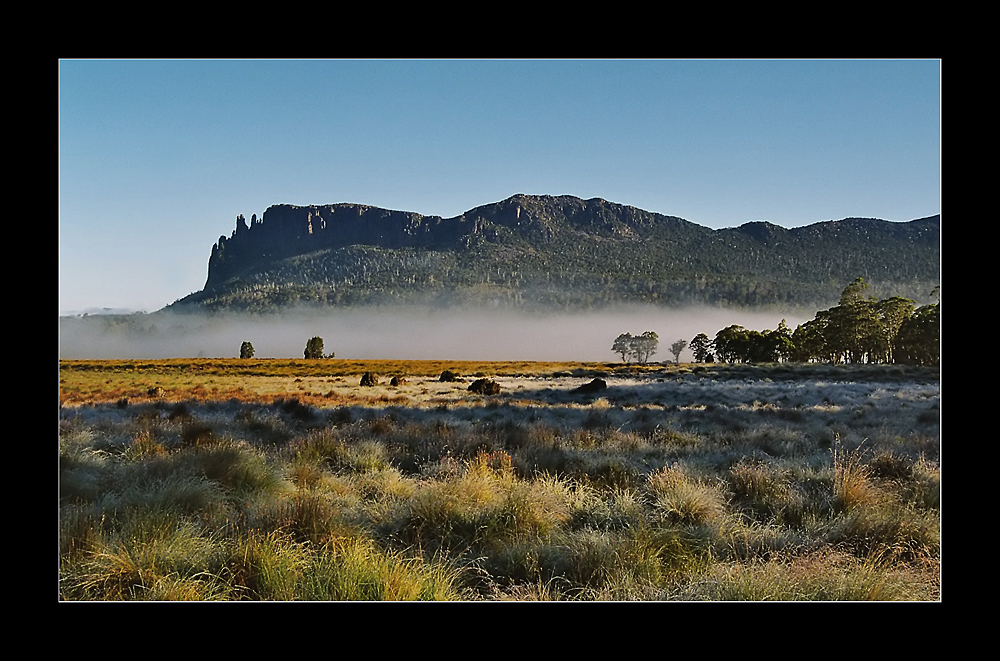 Morning mist on overland track