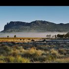 Morning mist on overland track