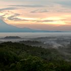 Morning mist over Borobodur valley