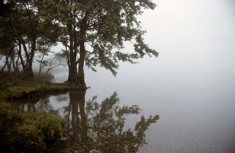 Morning Mist / Wales