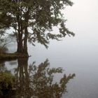 Morning Mist / Wales