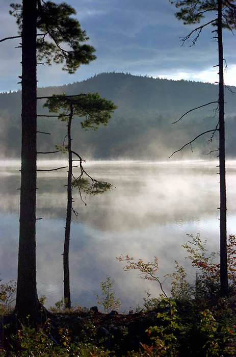 Morning Mists