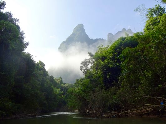 Morning Mists, KhaoSok National Park