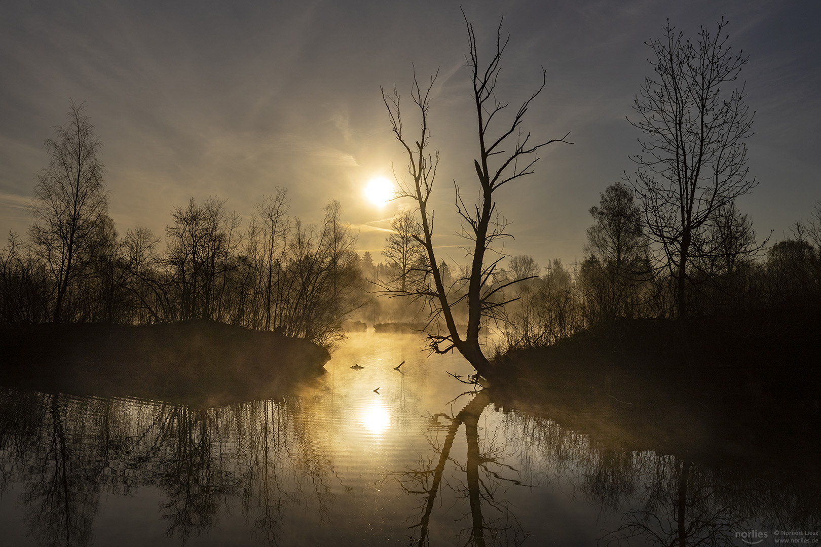 Morning mood at lake