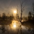 Morning mood at lake