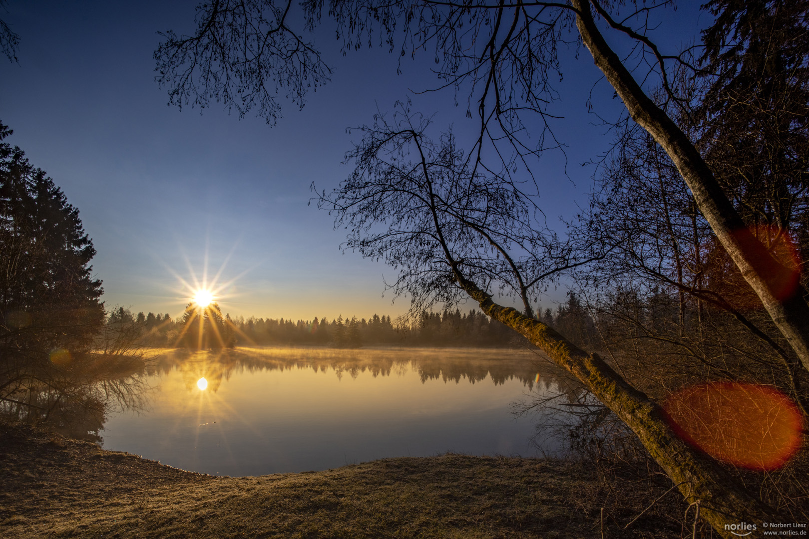 Morning mood at the lake