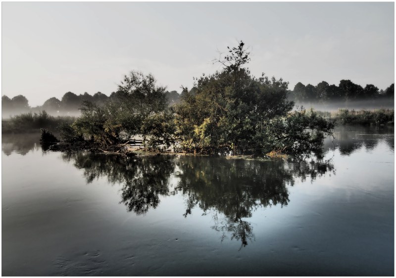 Morning mood at the river