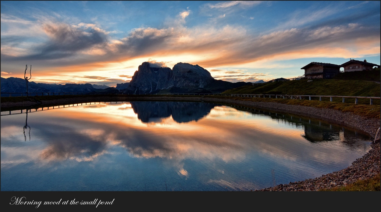 Morning mood at the small pond