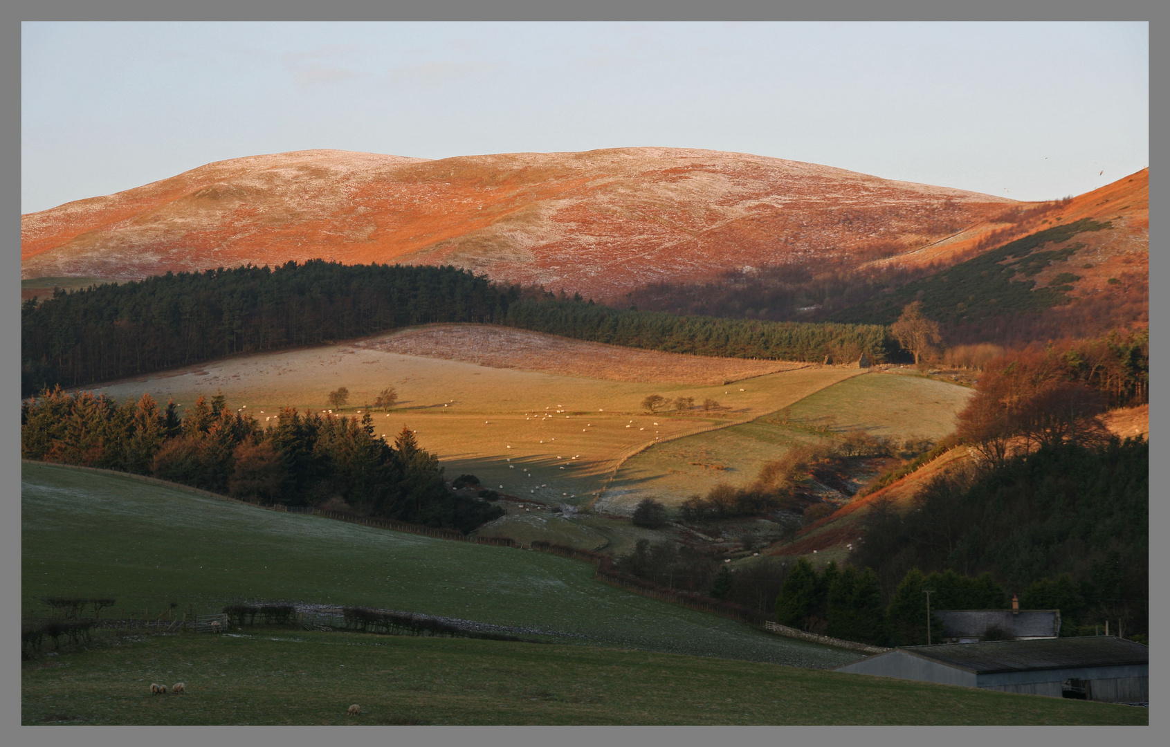 morning near westnewton