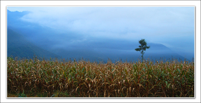 morning of village