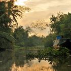 Morning on Mekhong River