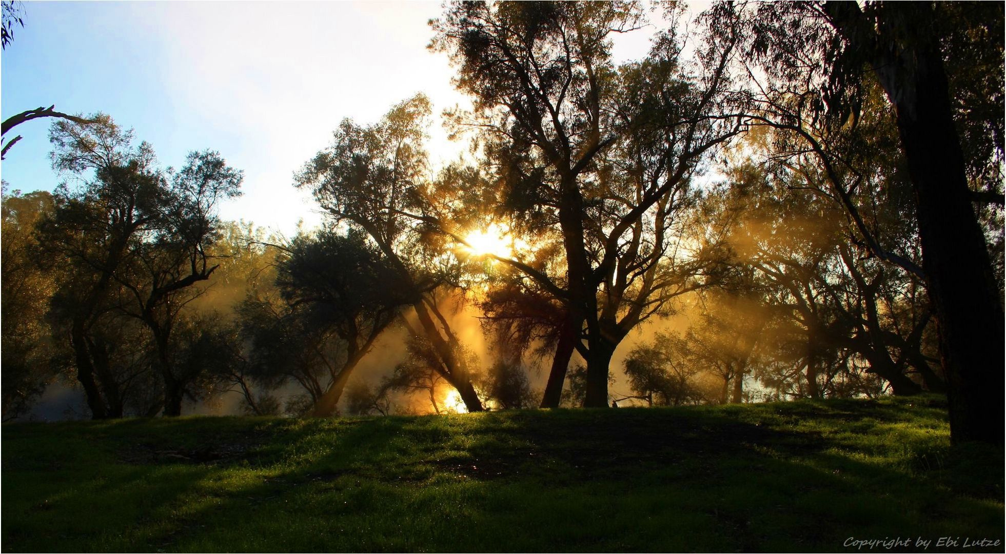 * Morning on the Avon River WA *