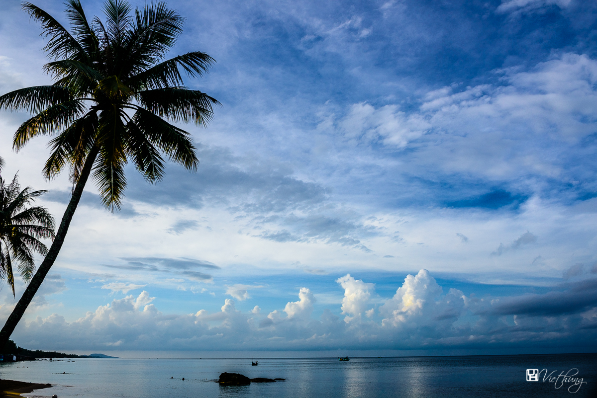 Morning on the beach