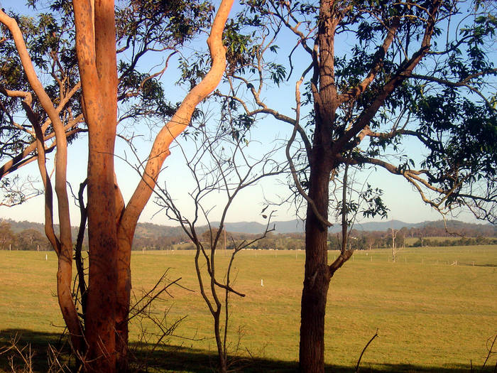 Morning On The Farm