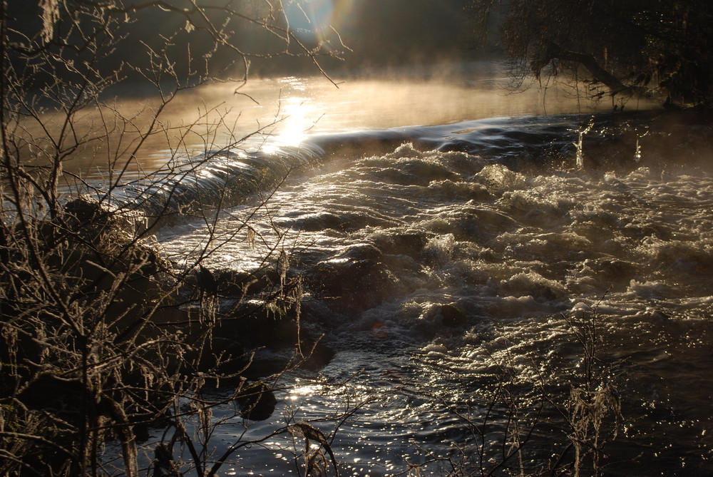 Morning On The River