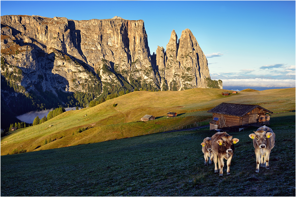 *Morning on the Seiser Alm*