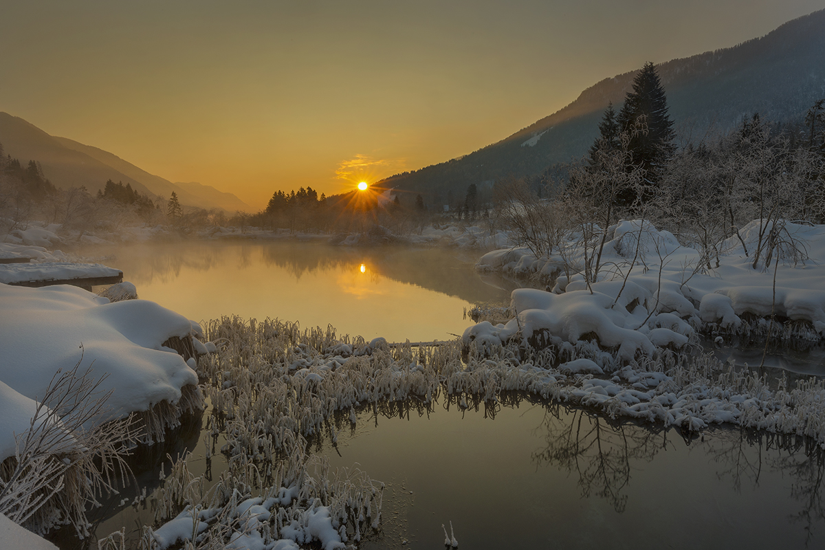 Morning on Zelenci