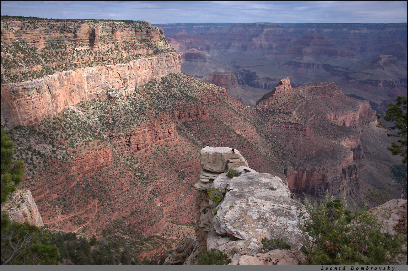 Morning over the Canyon-1300-400