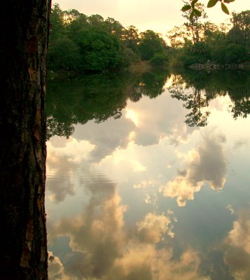 Morning Reflections