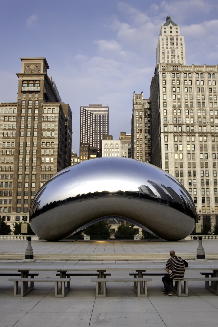 Morning Rest at the Bean