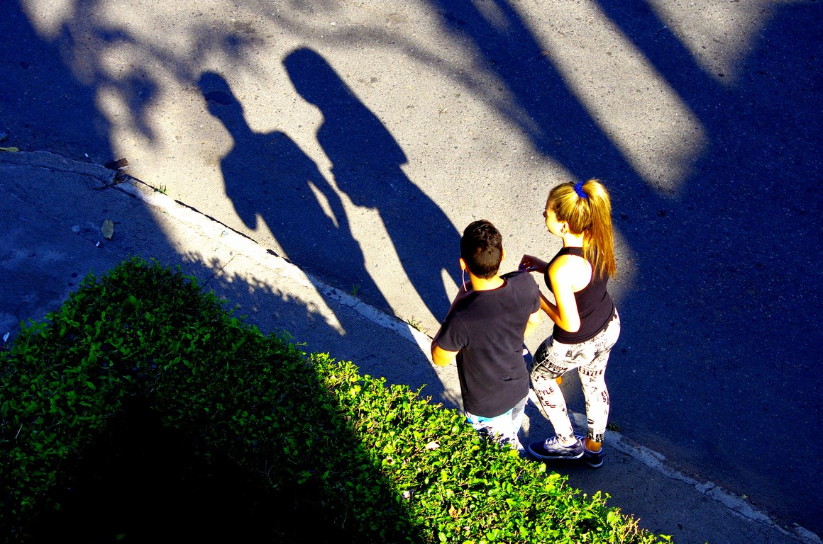 Morning shadows